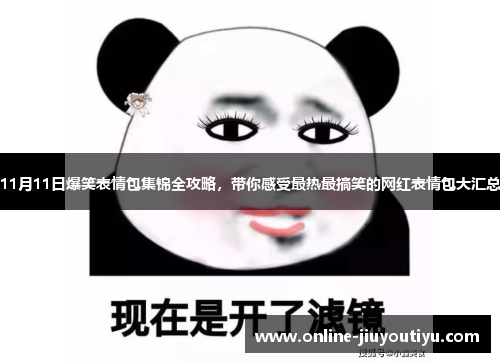 11月11日爆笑表情包集锦全攻略,带你感受最热最搞笑的网红表情包大汇总