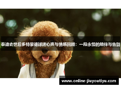 泰迪去世后多特蒙德球迷心声与情感回顾:一段永恒的陪伴与告别