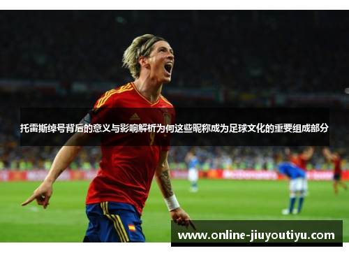 托雷斯绰号背后的意义与影响解析为何这些昵称成为足球文化的重要组成部分 托雷斯绰号背后的意义与影响解析为何这些昵称成为足球文化的重要组成部分