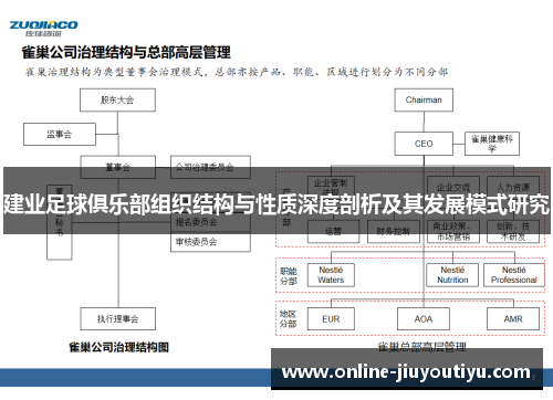 建业足球俱乐部组织结构与性质深度剖析及其发展模式研究 建业足球俱乐部组织结构与性质深度剖析及其发展模式研究