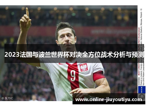2023法国与波兰世界杯对决全方位战术分析与预测
